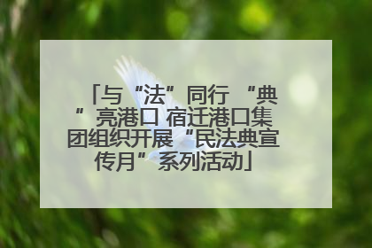 与“法”同行 “典”亮港口 宿迁港口集团组织开展“民法典宣传月”系列活动