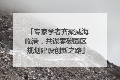 专家学者齐聚威海临港，共谋零碳园区规划建设创新之路