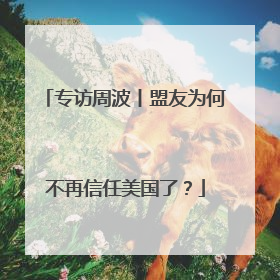 专访周波丨盟友为何不再信任美国了？