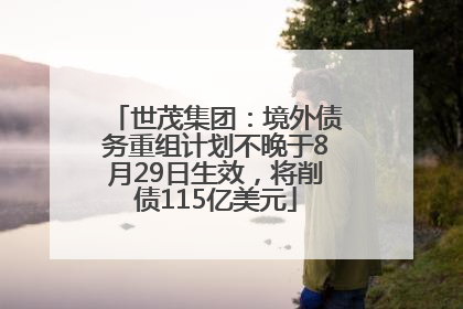 世茂集团：境外债务重组计划不晚于8月29日生效，将削债115亿美元