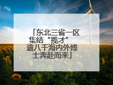 东北三省一区集结“揽才” 逾八千海内外博士奔赴而来