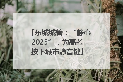 东城城管：“静心2025”，为高考按下城市静音键
