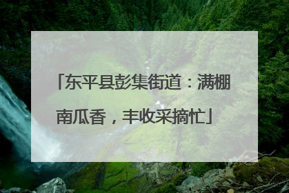 东平县彭集街道：满棚南瓜香，丰收采摘忙