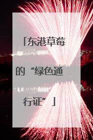 东港草莓的“绿色通行证”