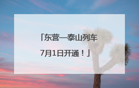 东营—泰山列车7月1日开通！