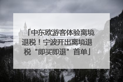 中东欧游客体验离境退税！宁波开出离境退税“即买即退”首单
