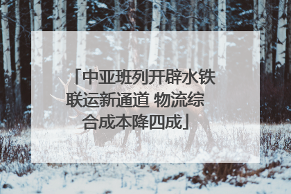 中亚班列开辟水铁联运新通道 物流综合成本降四成