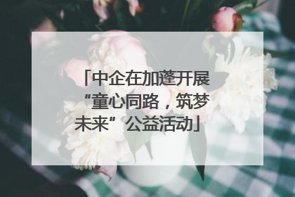 中企在加蓬开展“童心同路，筑梦未来”公益活动