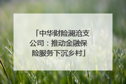 中华财险澜沧支公司：推动金融保险服务下沉乡村