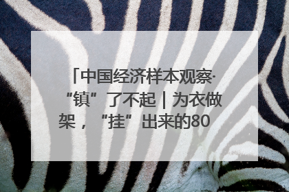 中国经济样本观察·“镇”了不起｜为衣做架，“挂”出来的80亿元“衣架产业”