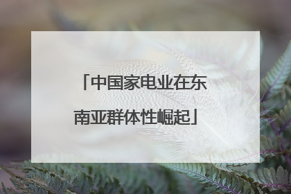 中国家电业在东南亚群体性崛起