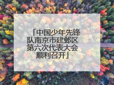 中国少年先锋队南京市建邺区第六次代表大会顺利召开