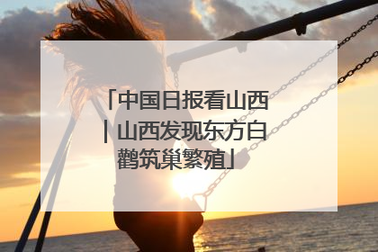 中国日报看山西｜山西发现东方白鹳筑巢繁殖