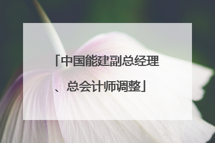 中国能建副总经理、总会计师调整