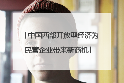 中国西部开放型经济为民营企业带来新商机