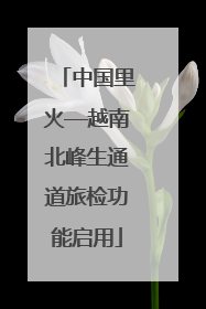 中国里火—越南北峰生通道旅检功能启用