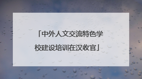 中外人文交流特色学校建设培训在汉收官