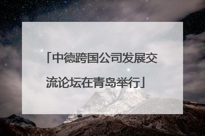 中德跨国公司发展交流论坛在青岛举行