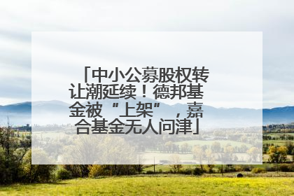 中小公募股权转让潮延续！德邦基金被“上架”，嘉合基金无人问津