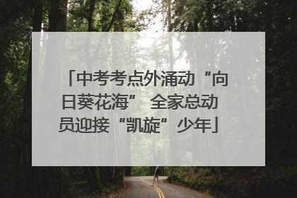 中考考点外涌动“向日葵花海” 全家总动员迎接“凯旋”少年