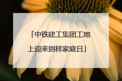 中铁建工集团工地上迎来别样家庭日