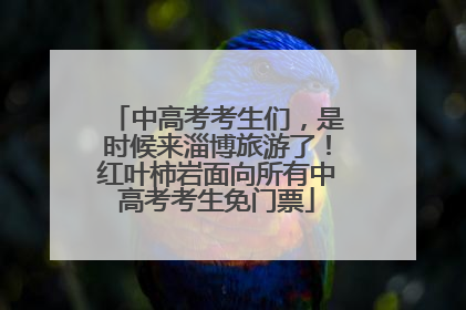 中高考考生们，是时候来淄博旅游了！红叶柿岩面向所有中高考考生免门票