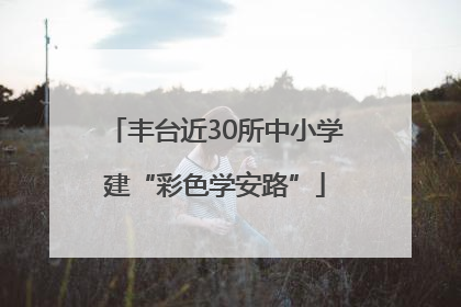 丰台近30所中小学建“彩色学安路”