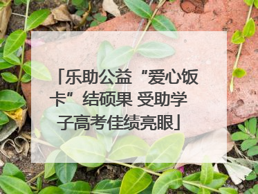 乐助公益“爱心饭卡”结硕果 受助学子高考佳绩亮眼