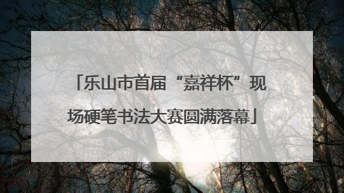 乐山市首届“嘉祥杯”现场硬笔书法大赛圆满落幕