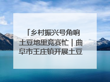 乡村振兴号角响 土豆地里竞赛忙｜曲阜市王庄镇开展土豆收获劳动竞赛