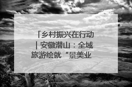 乡村振兴在行动｜安徽潜山：全域旅游绘就“景美业兴民富”新画卷