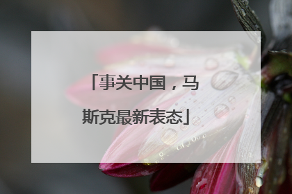 事关中国，马斯克最新表态