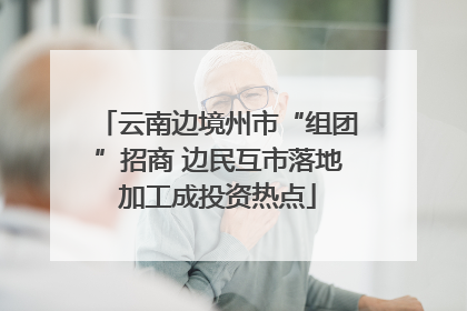 云南边境州市“组团”招商 边民互市落地加工成投资热点