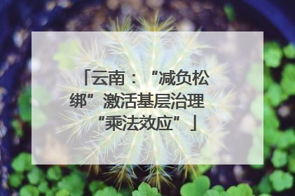 云南：“减负松绑”激活基层治理“乘法效应”