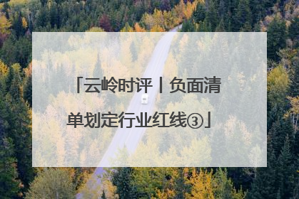云岭时评丨负面清单划定行业红线③