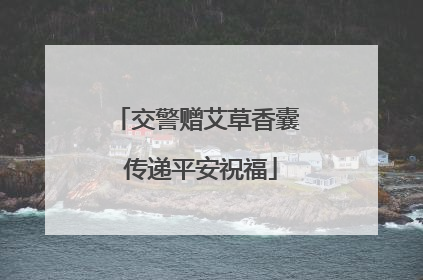交警赠艾草香囊 传递平安祝福
