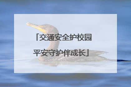 交通安全护校园 平安守护伴成长