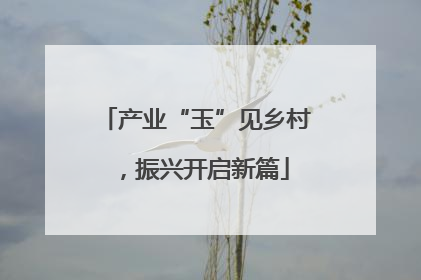 产业“玉”见乡村，振兴开启新篇