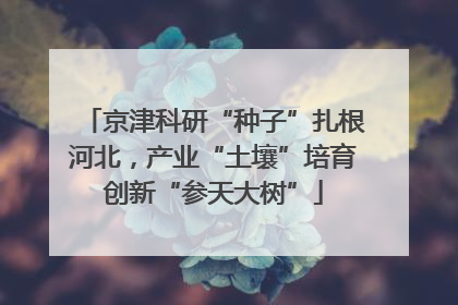 京津科研“种子”扎根河北，产业“土壤”培育创新“参天大树”