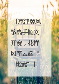 京津冀风筝高手顺义开赛，花样风筝云端“比武”