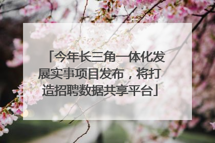 今年长三角一体化发展实事项目发布，将打造招聘数据共享平台