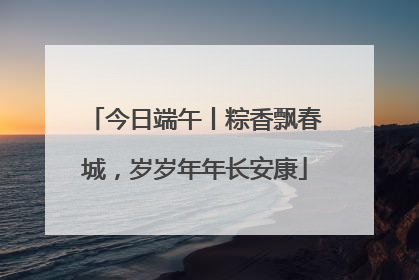 今日端午丨粽香飘春城，岁岁年年长安康