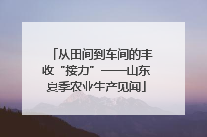 从田间到车间的丰收“接力”——山东夏季农业生产见闻