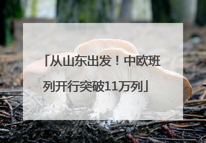 从山东出发！中欧班列开行突破11万列
