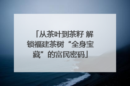 从茶叶到茶籽 解锁福建茶树“全身宝藏”的富民密码