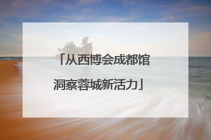 从西博会成都馆洞察蓉城新活力