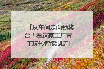 从车间走向领奖台！看这家工厂青工玩转智能制造