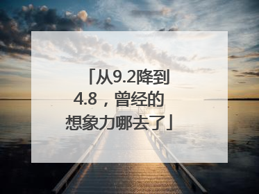 从9.2降到4.8，曾经的想象力哪去了