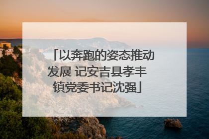 以奔跑的姿态推动发展 记安吉县孝丰镇党委书记沈强