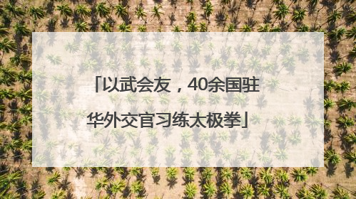 以武会友，40余国驻华外交官习练太极拳